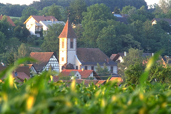 Bad Bellingen im Markgräflerland